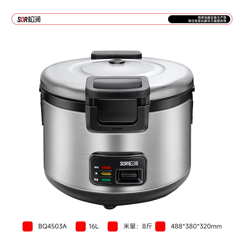 Countertop Electric Cooker, 16 L